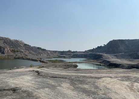 Moiicos43 star art galleries