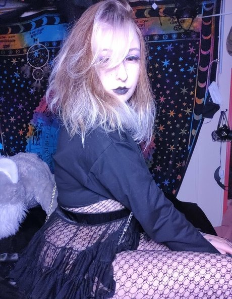 kittens playpen top model pic