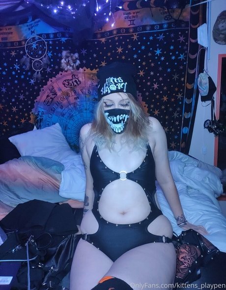 kittens playpen free star photo