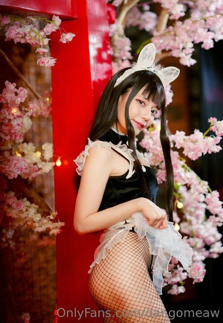 Dango Meaw model nice archive