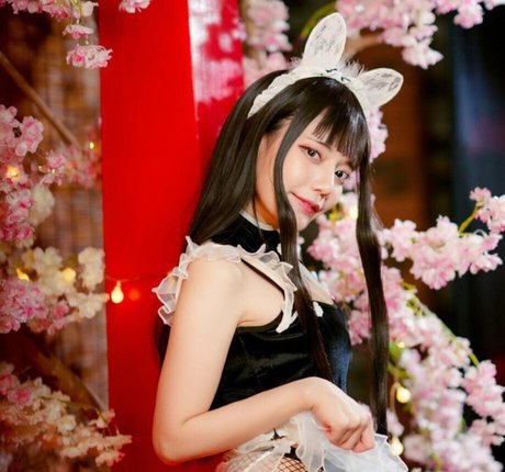 Dango Meaw star beautiful img