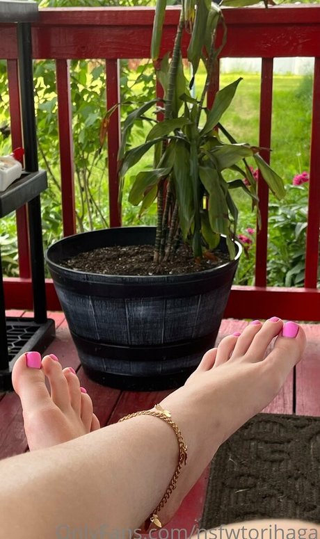 nsfwtorihaga star porn galleries