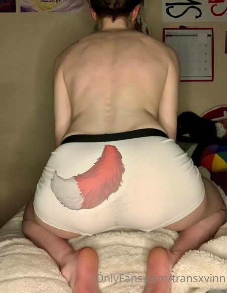 transxvinn star nice gallery