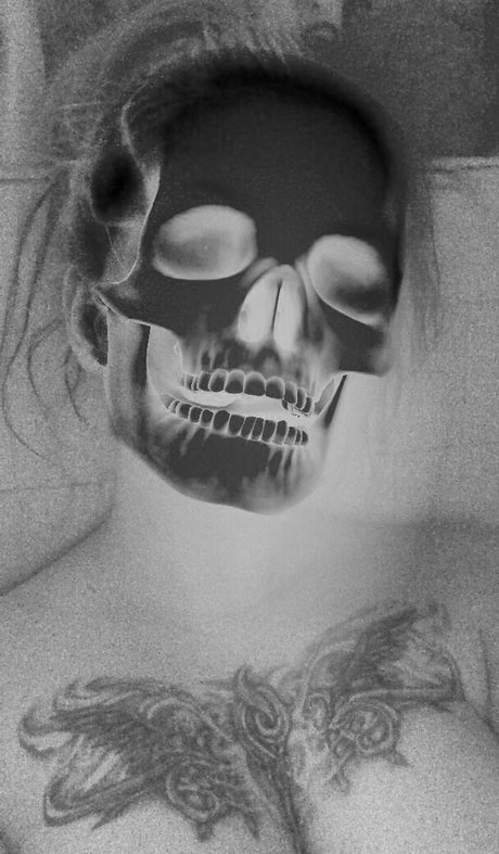 Justshep art pornstar gallery