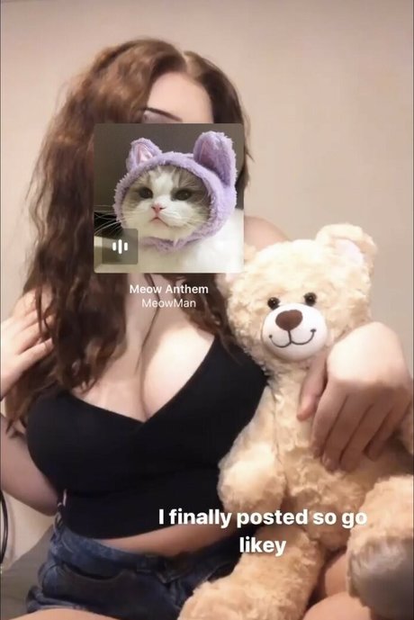 Carabobeara1 star hd picture