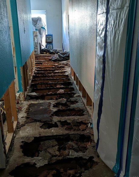 lisaapinelli erotic star images