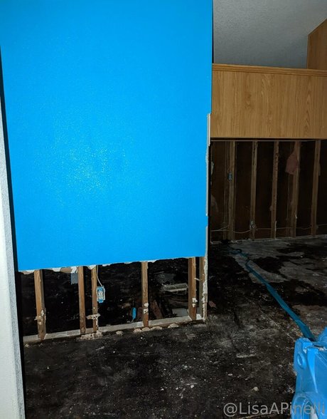 lisaapinelli pretty actress photo