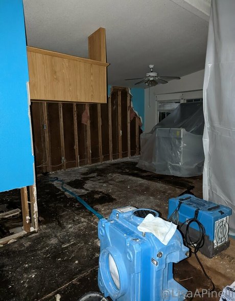 lisaapinelli perfect model image