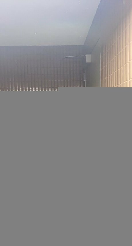 Alexbree sexy actress image