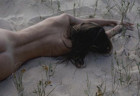 Ellie Chase perfect pornstar archive