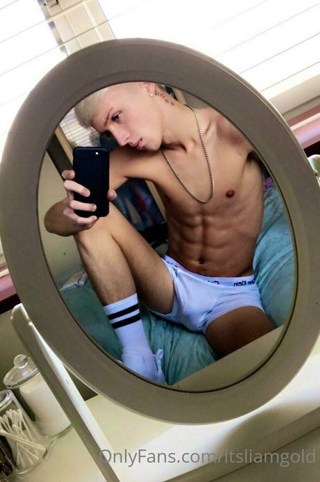 itsliamgold star art galleries