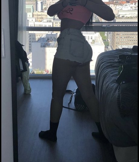 Fragile rosetta model art pics