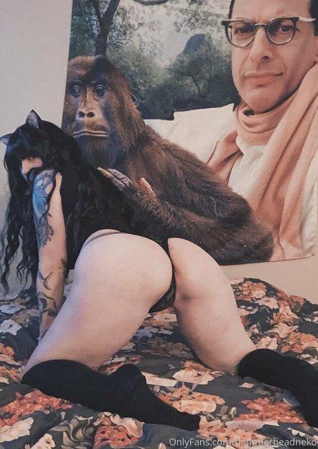 hammerheadneko exclusive star pictures