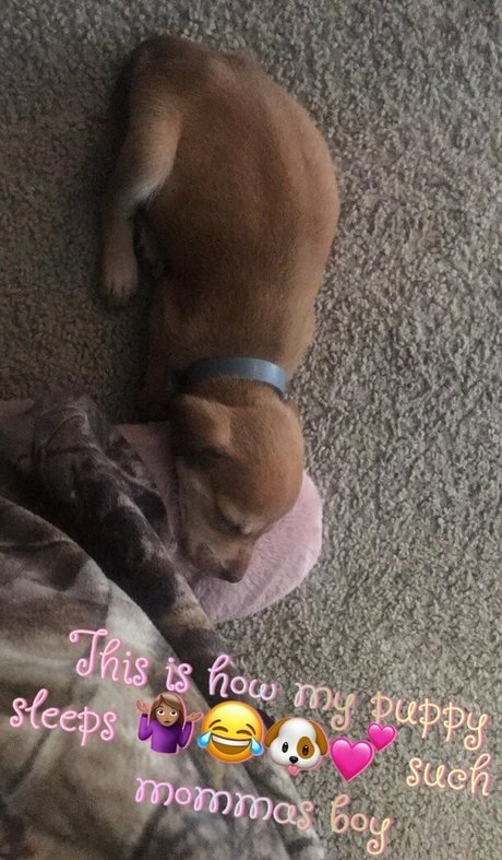 secretrene star hot pic