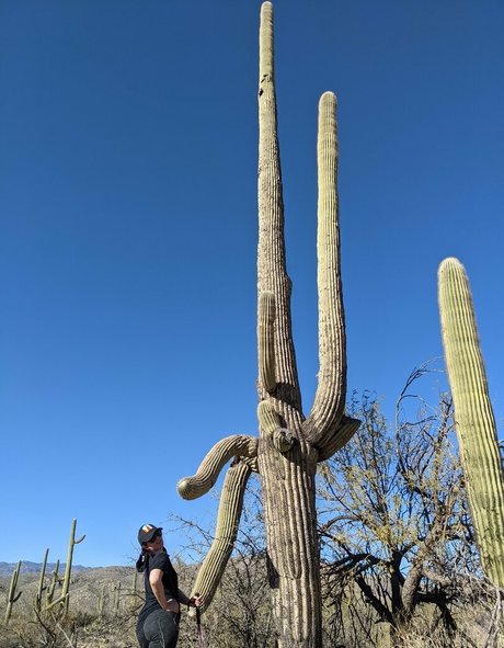 rileynicks pornographic star picture