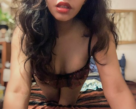 amaliahabfart star adult archive