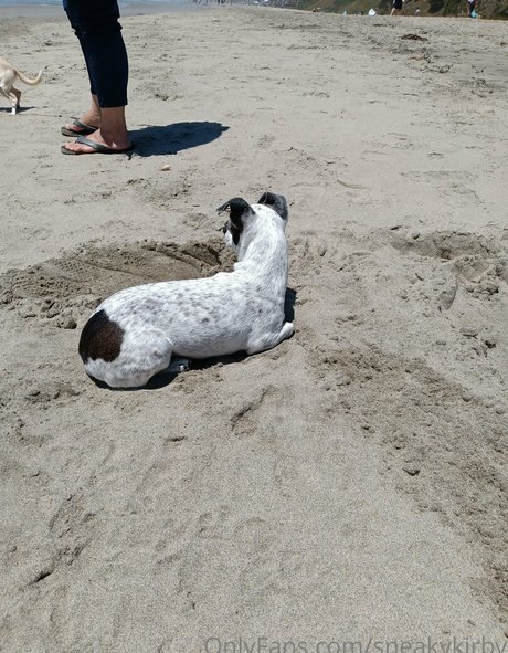 sneakykirby pornographic model images