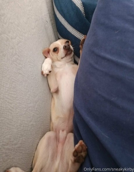 sneakykirby model best pictures