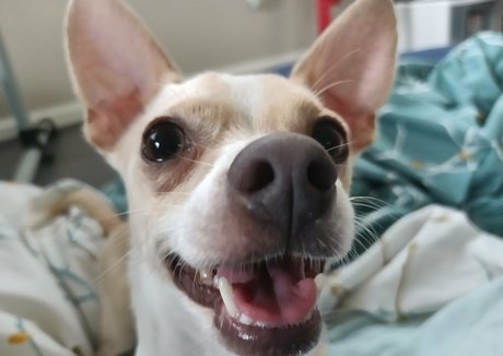 sneakykirby pornstar exclusive pic