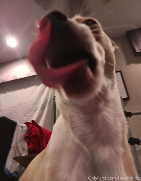 sneakykirby model pics