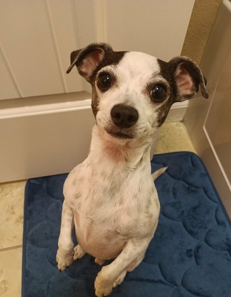 sneakykirby beautiful model image