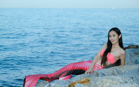 candy63 pornstar erotic galleries