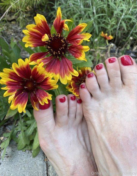 drlovejoy pornographic model image