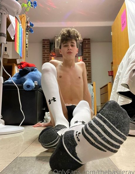 basilgray model beautiful img