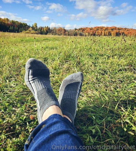 cindysfairyfeet star galleries