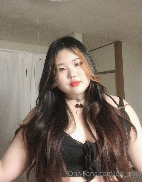 dd phin model hot archive