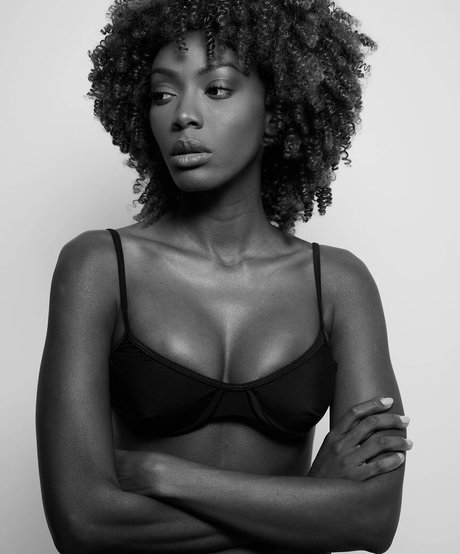 Bermudez Cortes star top photo