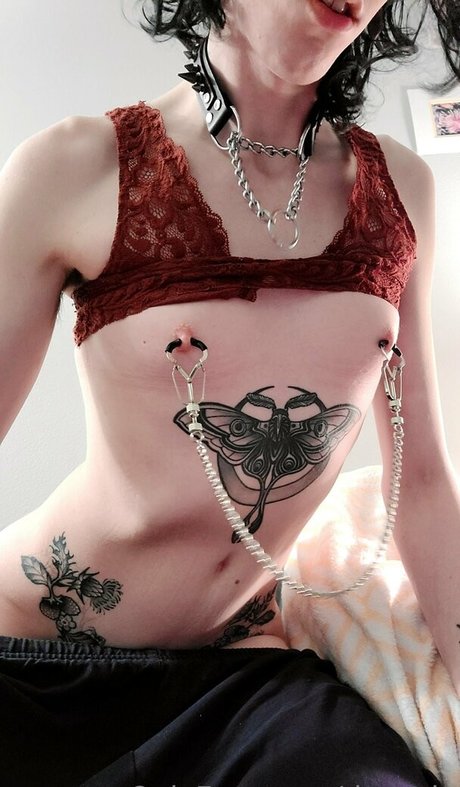 doxxxie pornstar art pic