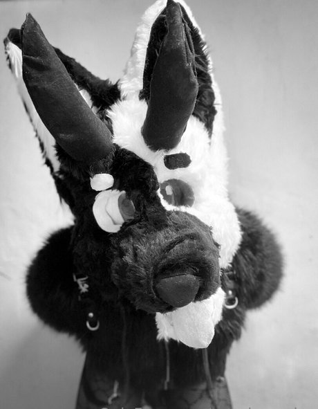 ratedrcosplay adult star images