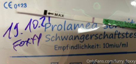 furry foxxy pornstar archive