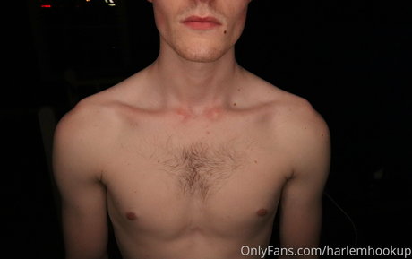 harlemhookup best pornstar archive