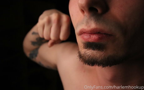 harlemhookup star sexy archive