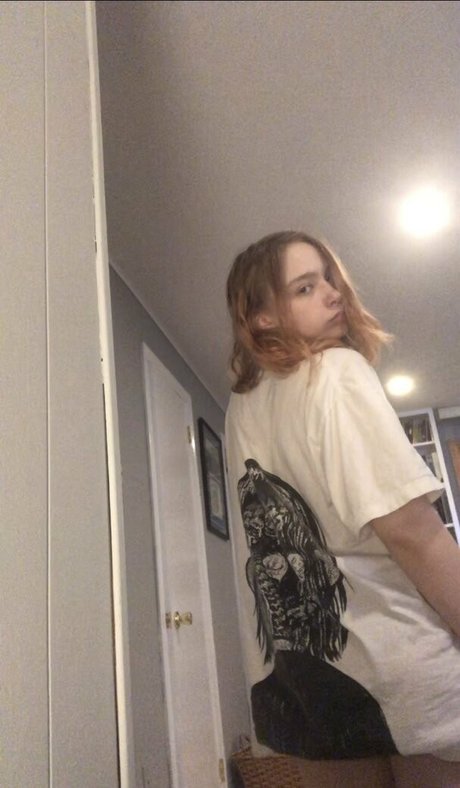 lamblet star pretty image