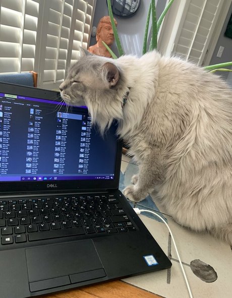 mistygates model nude image