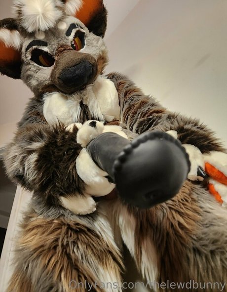 thelewdbunny top star pic