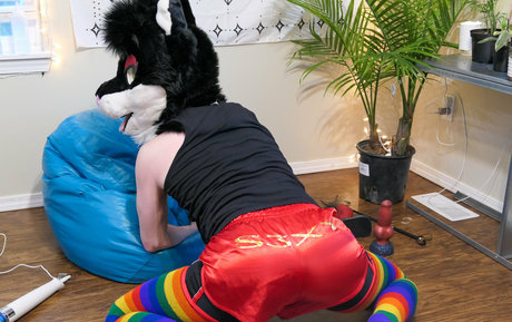 yiffykitty beautiful pornstar galleries