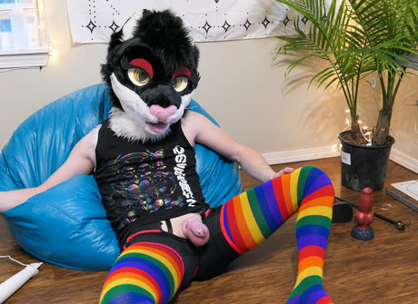 yiffykitty top actress picture