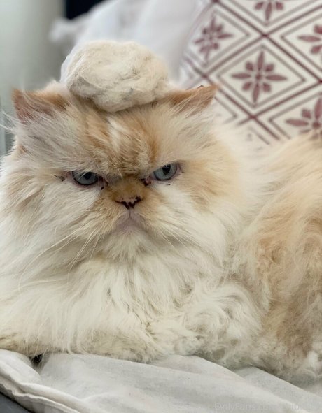 chibibyte beautiful actress photo