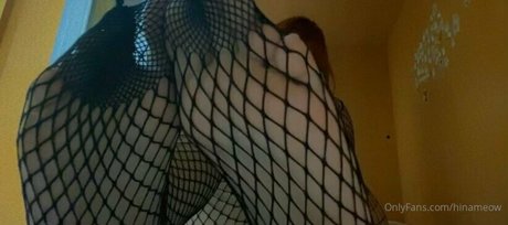 maobunny star nice picture