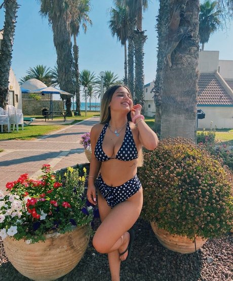 Gal Haitin hot star photo