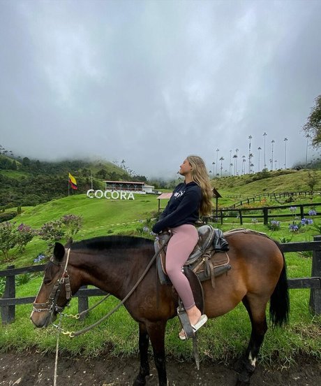 Gal Haitin high quality star image