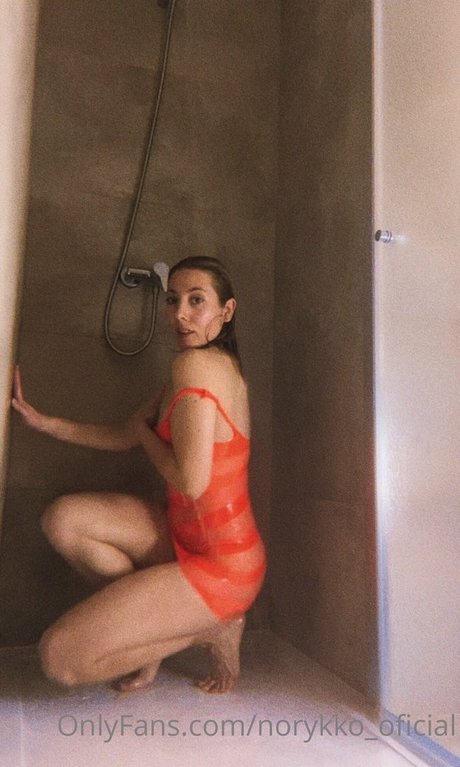 Norykko best model images