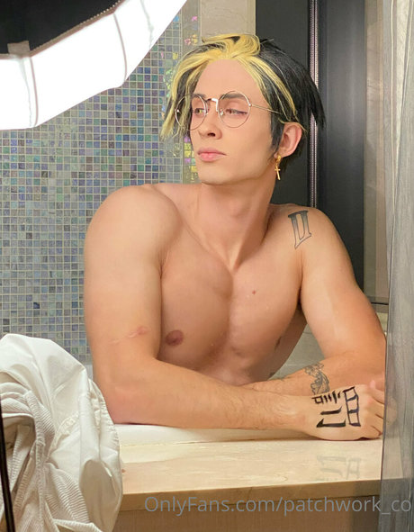 patchwork co art model picture