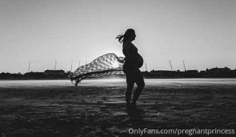 pregnantprincess nice pornstar pic