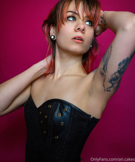 Ari cakes star porn images