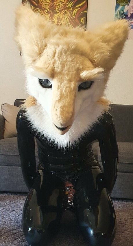 sergnderg pretty pornstar galleries